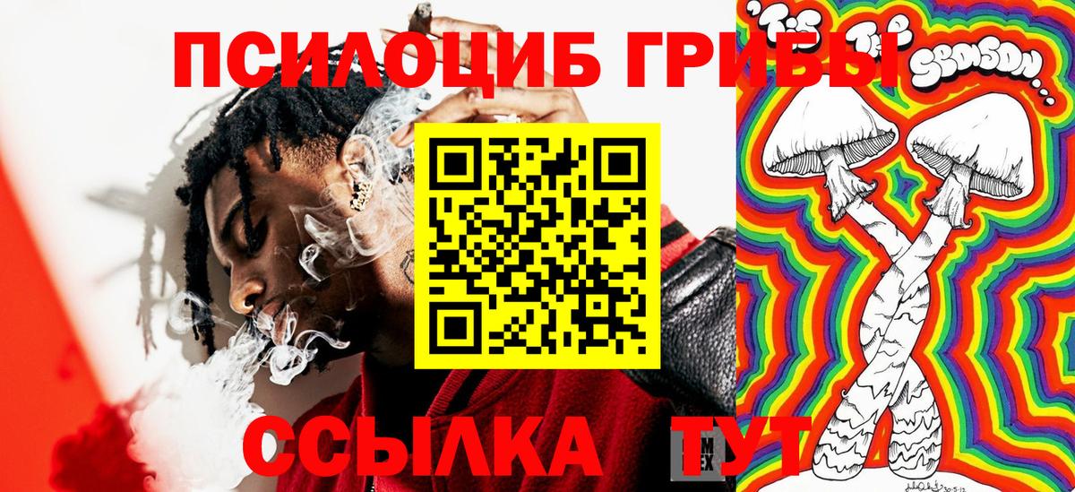 Галлюциногенные грибы Cubensis Луга