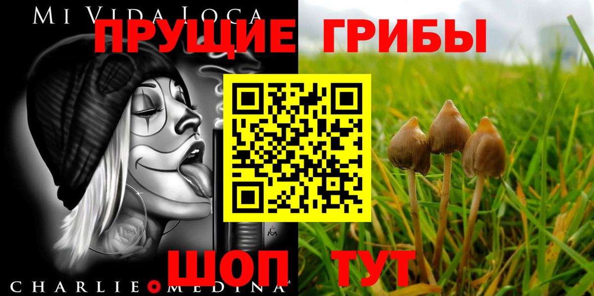 Галлюциногенные грибы GOLDEN TEACHER  Вход с VPN  Луга 