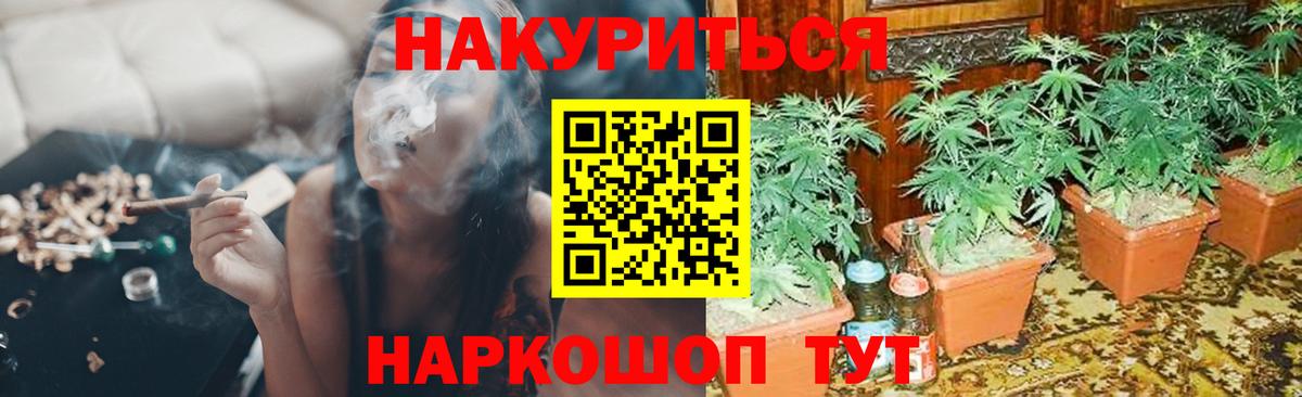 Шишки марихуана гибрид Луга